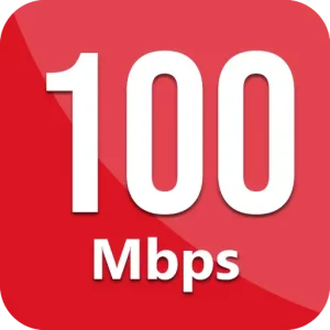 Speed 100 Mbps
